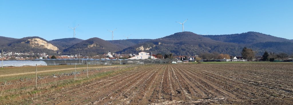 Realistische Fotomontage Windkraftanlagen über Dossenheim