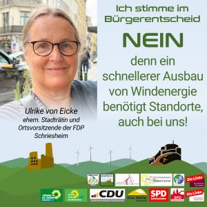 Ich stimme im Bürgerentscheid NEIN, denn ein schnellerer Ausbau von Windenergie benötigt Standorte, auch bei uns!